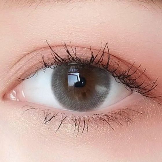 Paulo Gray Contact Lens